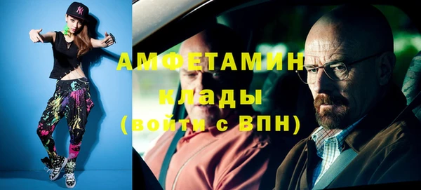 мет Алексин