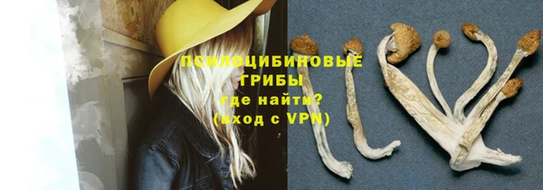 мет Алексин