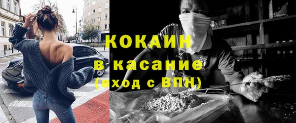 молекула духа Переславль-Залесский