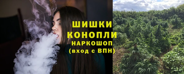 герыч Пересвет