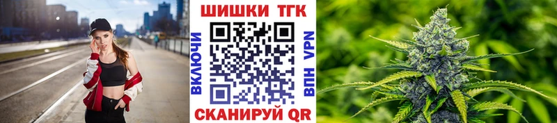 где продают наркотики  Каневская  Бошки Шишки сатива 